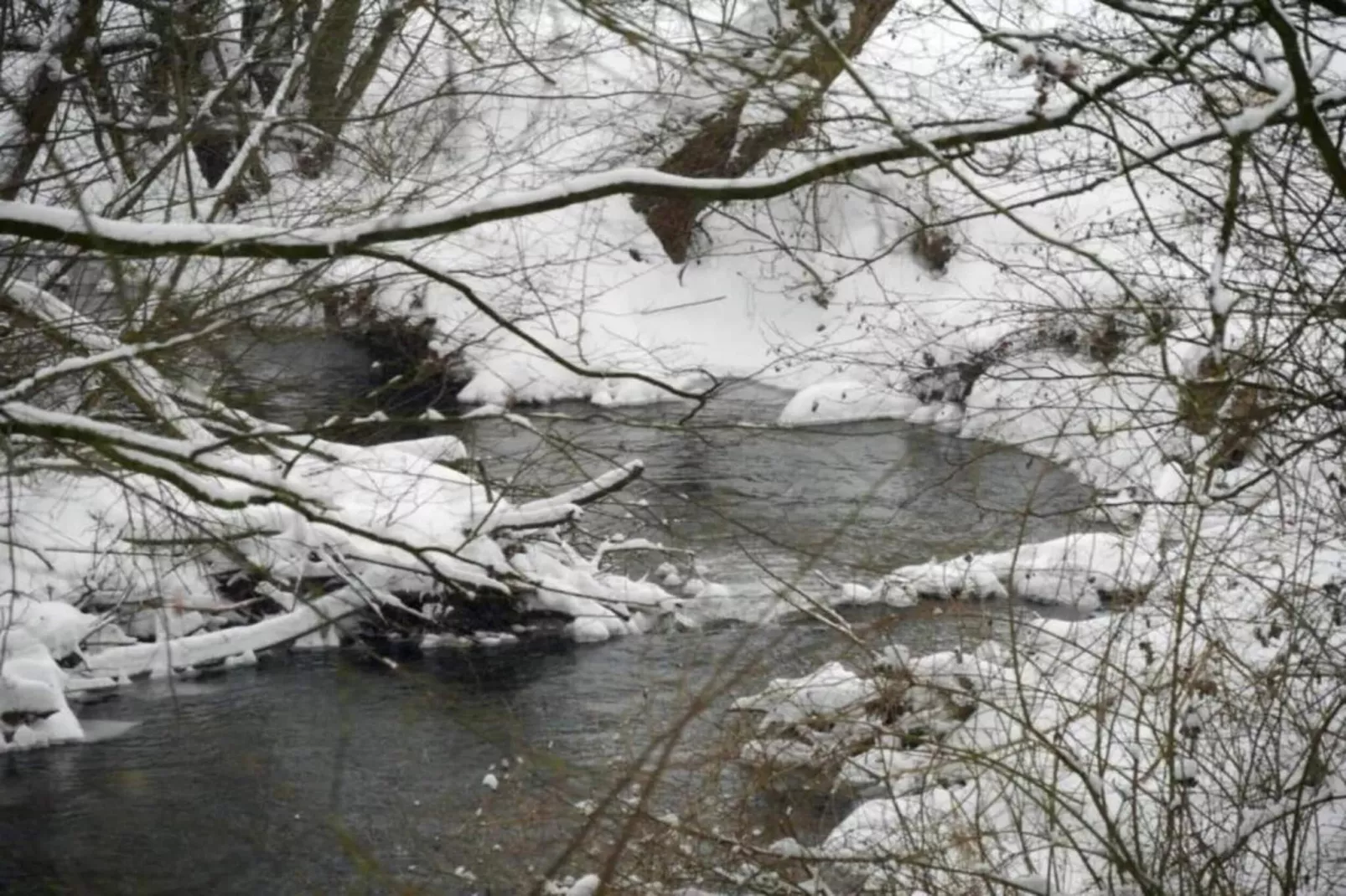 Nieheim-Merlsheim-Gebied winter 20km