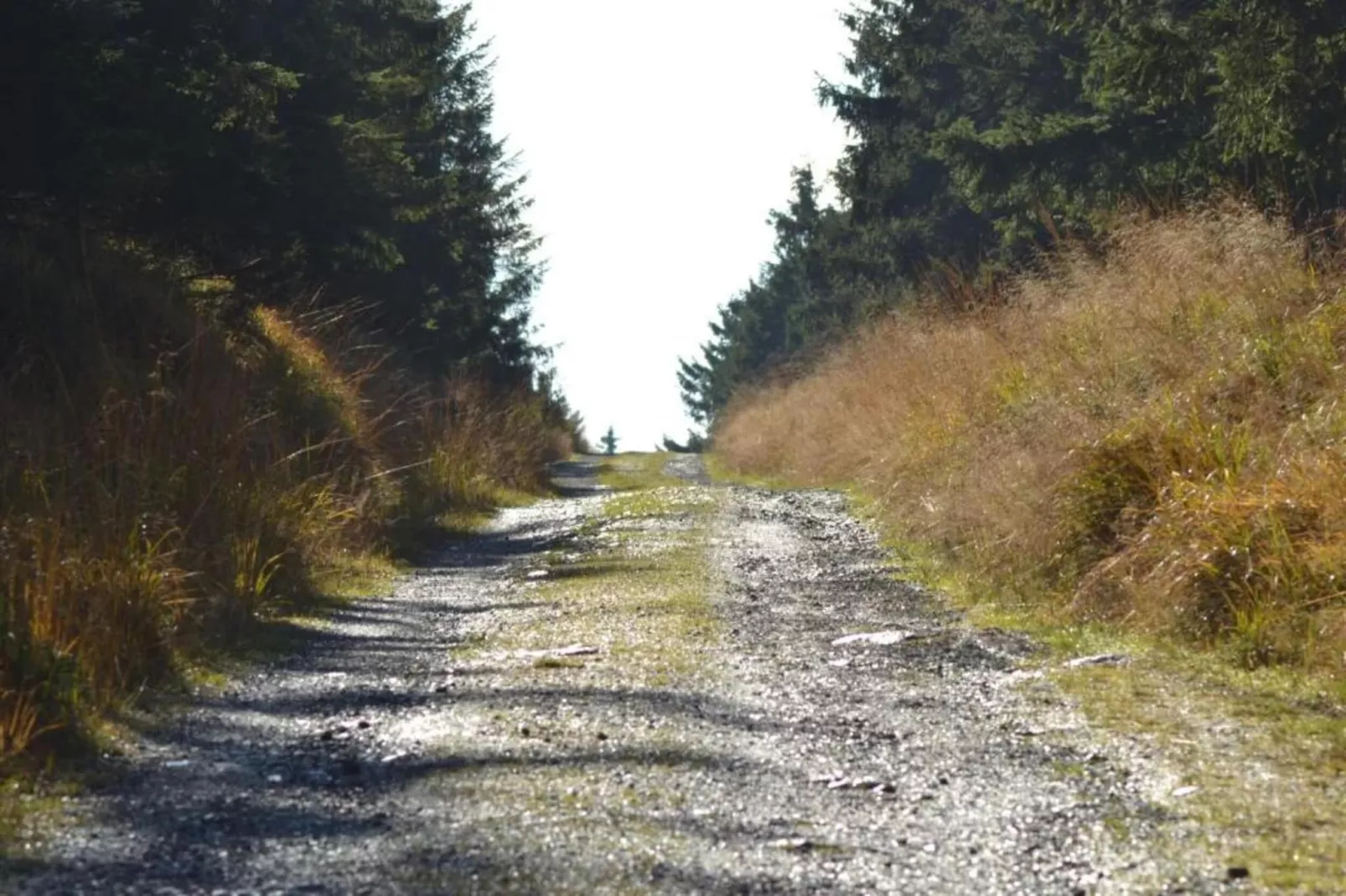 Spiegeltal-Gebieden zomer 5km