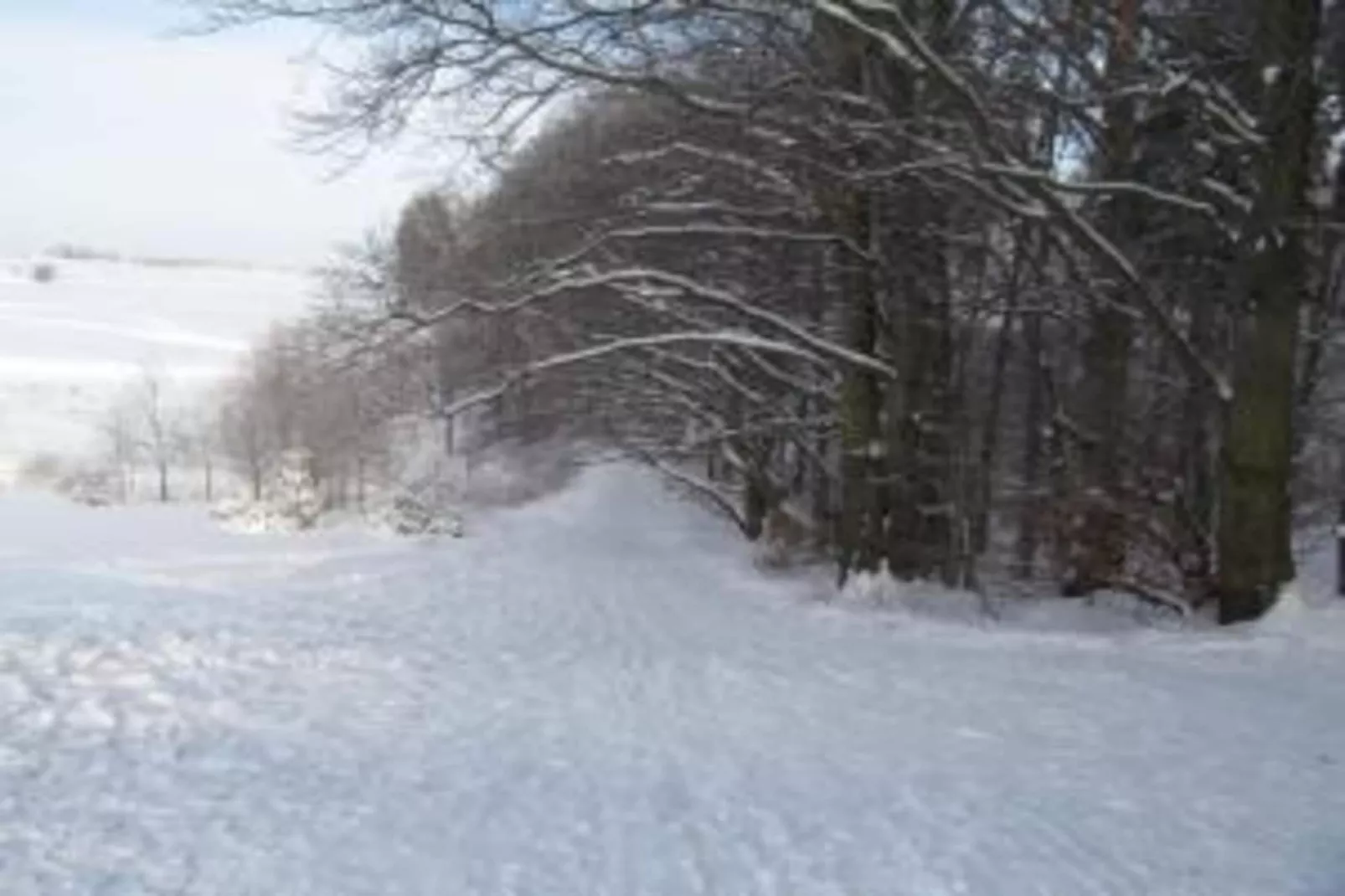 Stalter-Gebied winter 20km