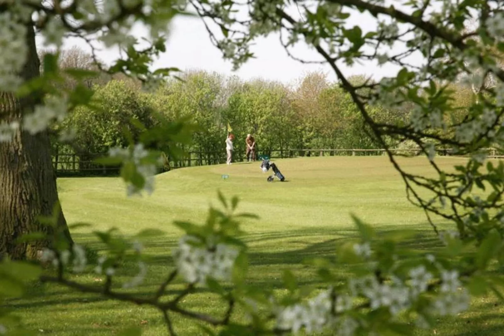 Ferienresort Bad Bentheim 1-Gebieden zomer 20km