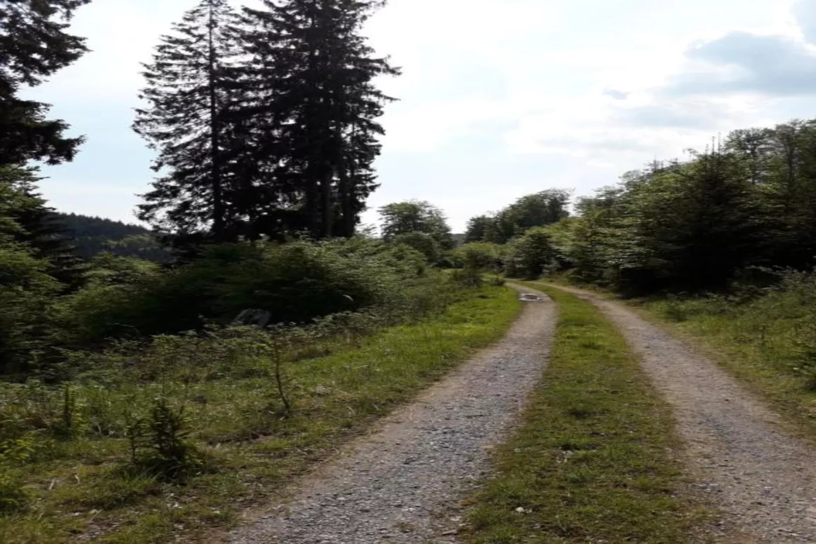 Im Ries III-Gebieden zomer 5km