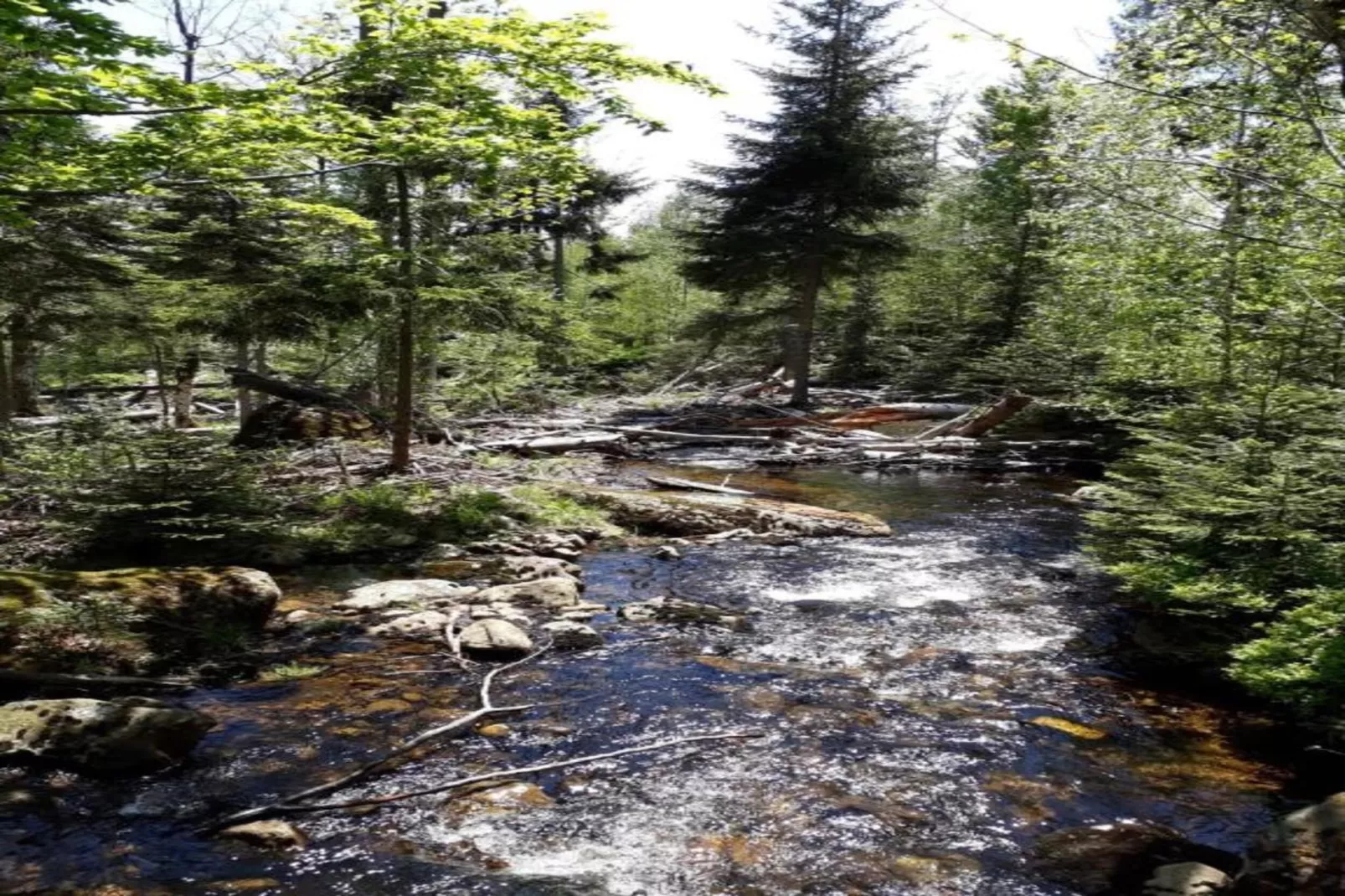 Feriendorf Waldbrunn 1-Gebieden zomer 20km