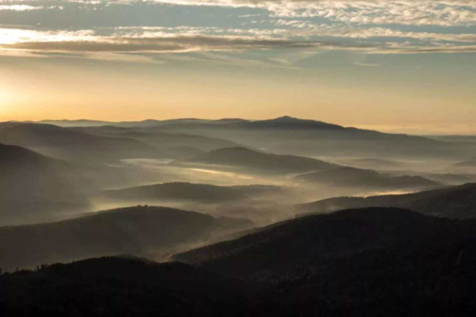 Bayerischer Wald-Gebieden zomer 20km
