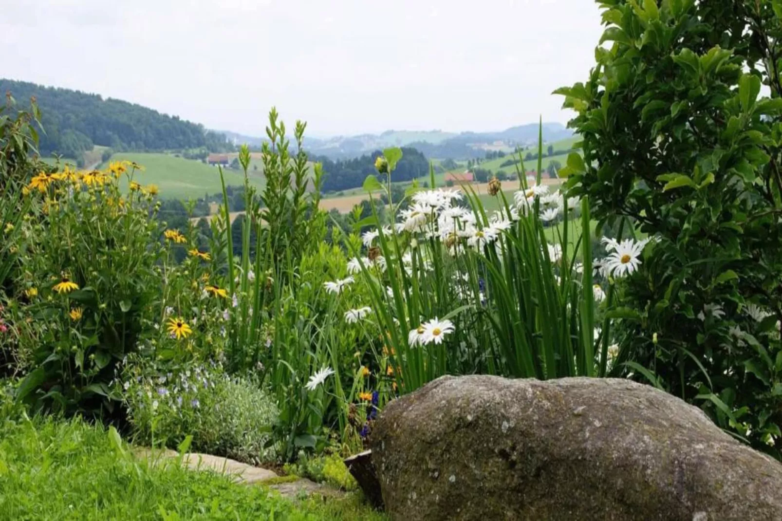 Im Bayerischen Wald-Gebieden zomer 20km