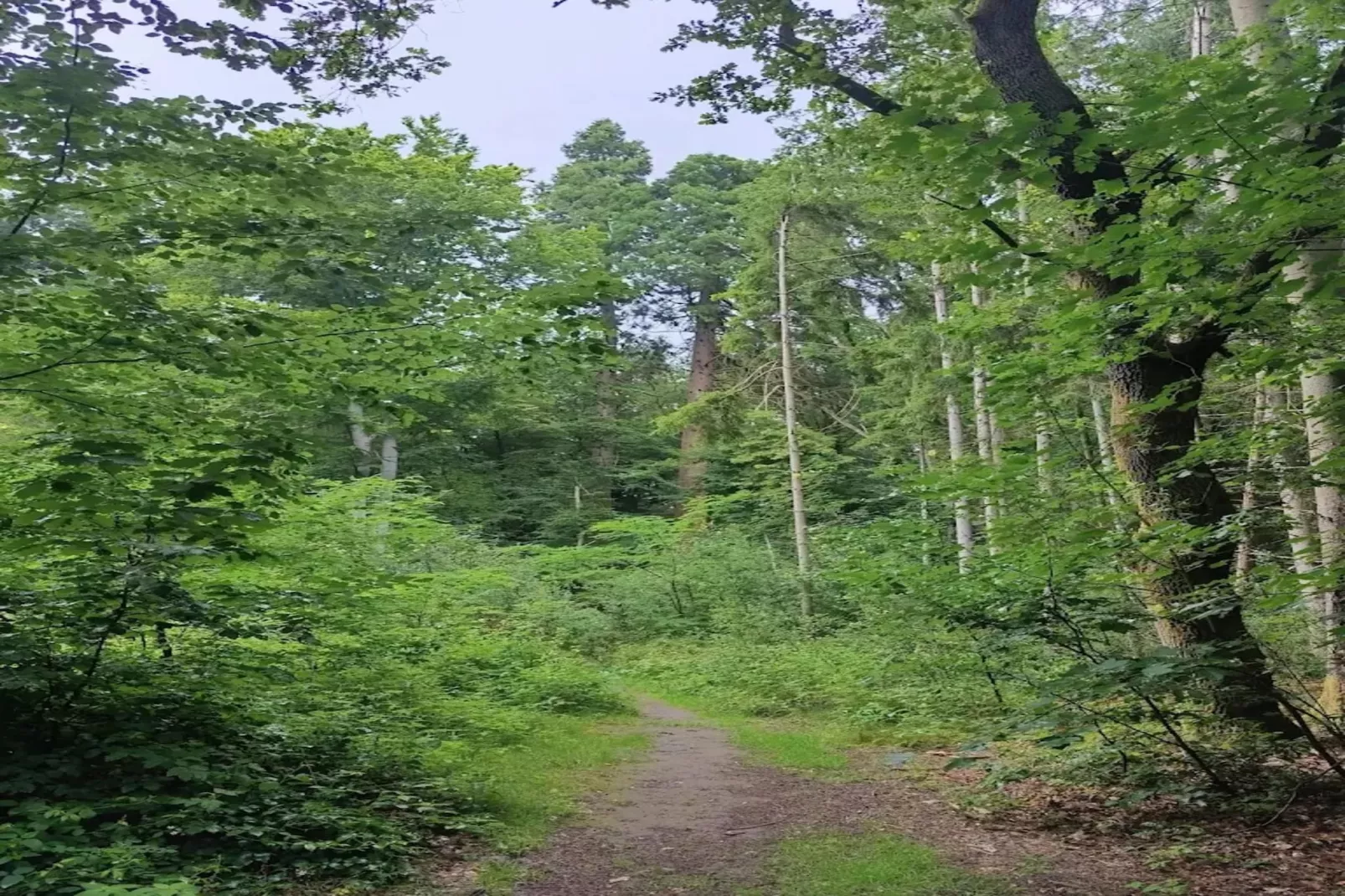 Chalet - 2 Personen-Gebieden zomer 5km