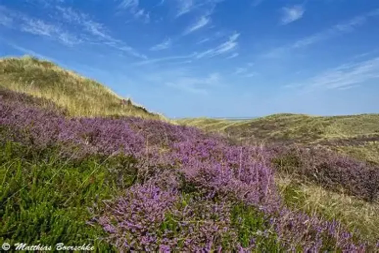 Post Hiddensee -Wohnung 2-Image-tags.