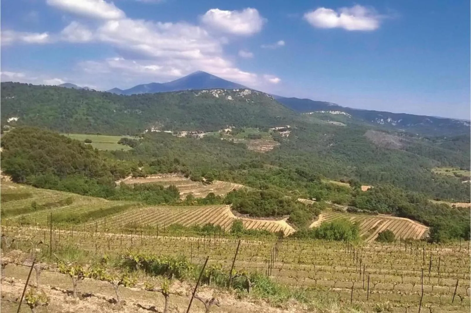 Les Demeures du Ventoux 3-Gebieden zomer 20km