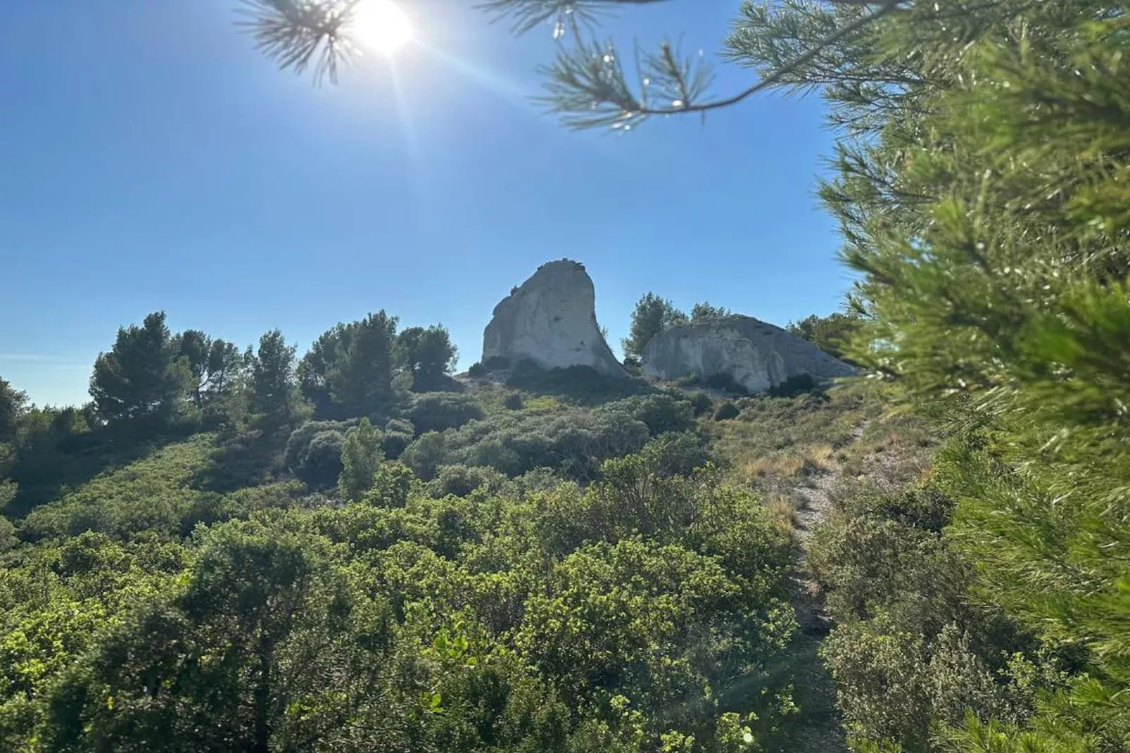 Résidence Le Mas des Alpilles 2-Gebieden zomer 20km