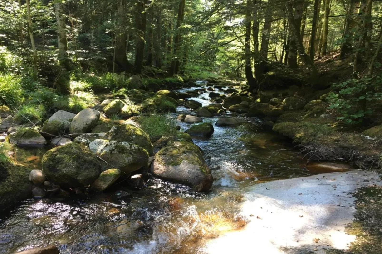 Gite -   SAUVAIN-Gebieden zomer 5km