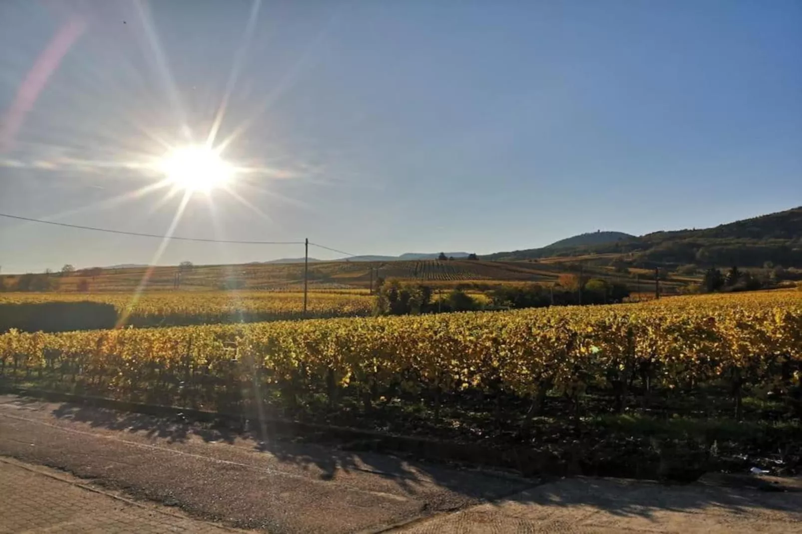 Le Domaine des Rois 1-Gebieden zomer 5km