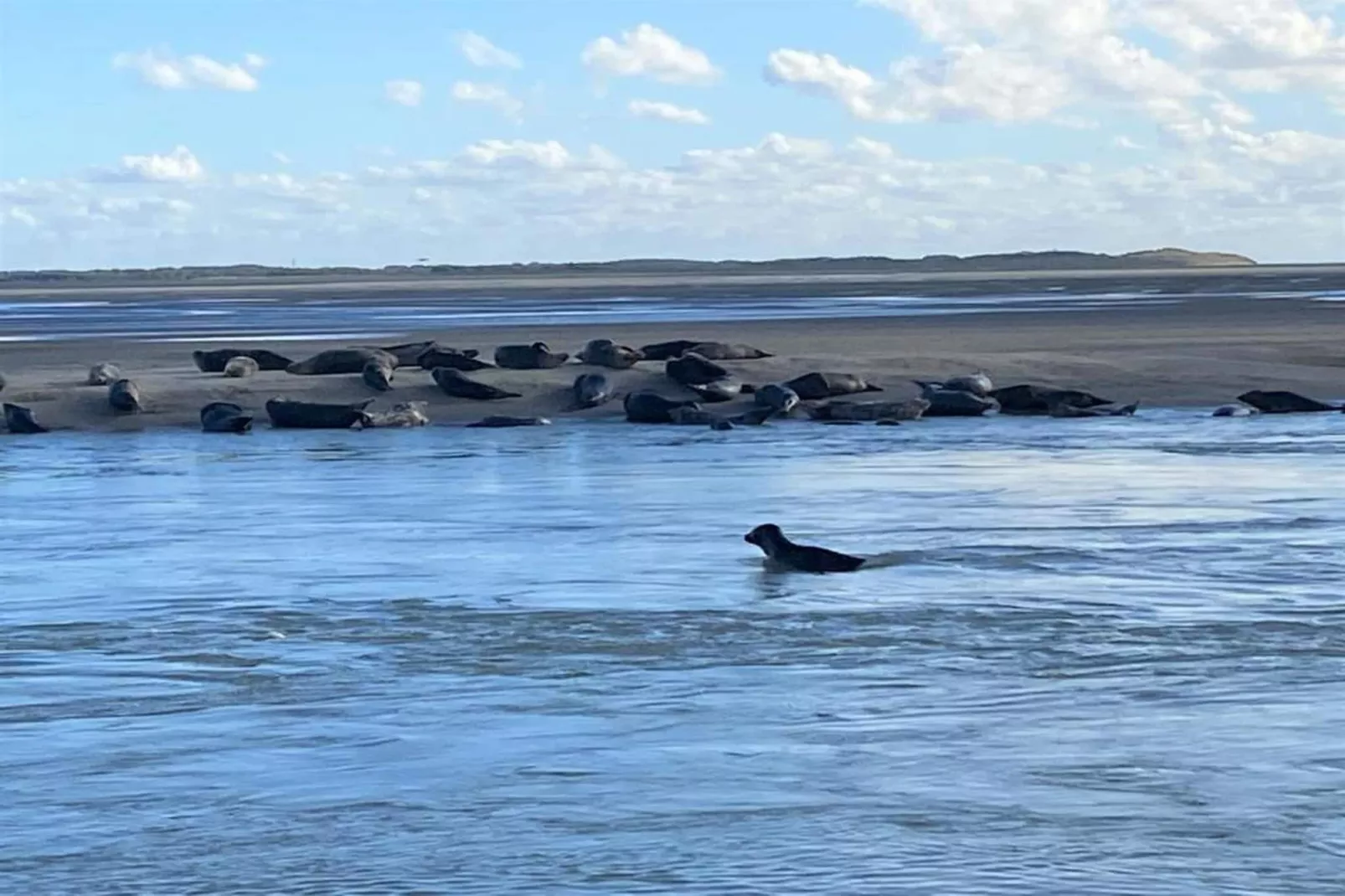 Résidence les Villas de la Baie 2-Gebieden zomer 20km