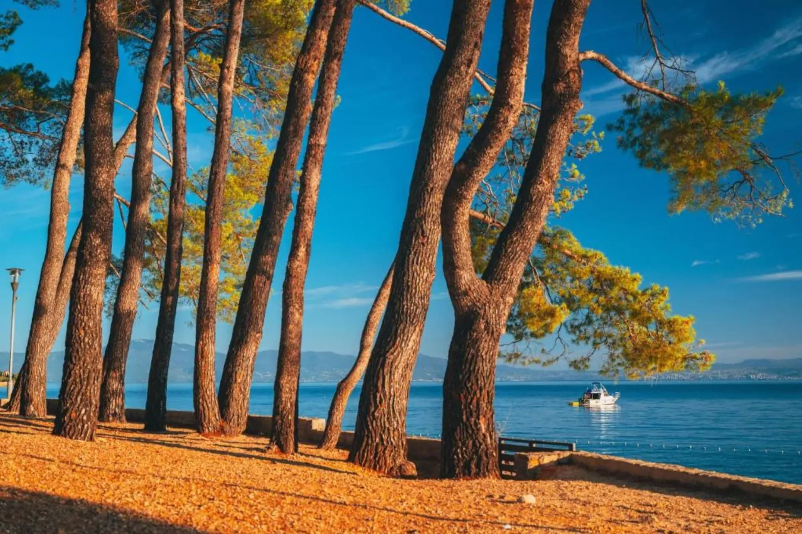 Apartment Svalina-Gebieden zomer 1km