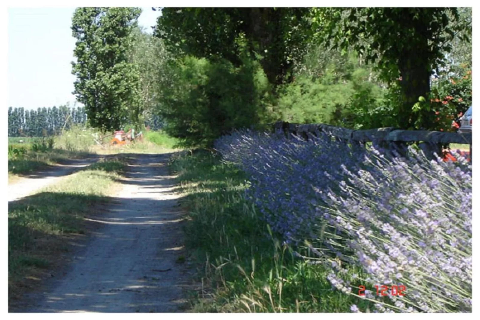 Oasi Bianca-Gebieden zomer 20km