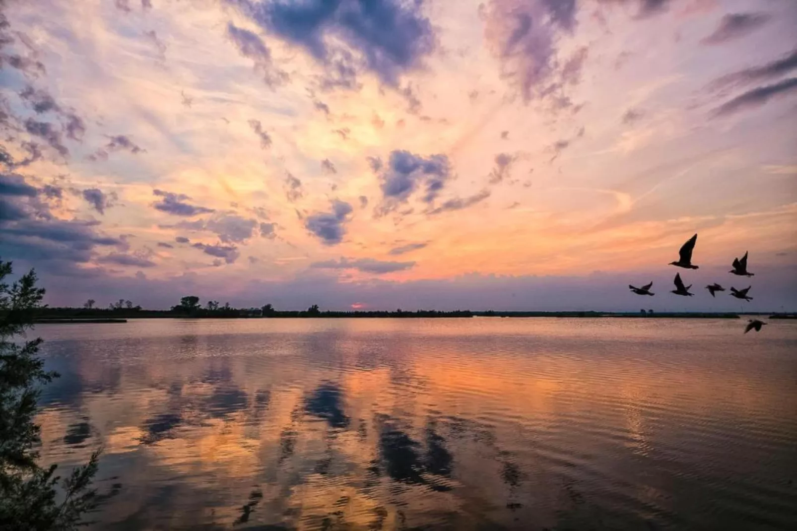 Ceseta 3 - Gebieden zomer 1km