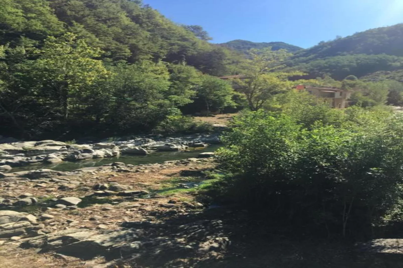 Vignoli-Gebieden zomer 20km