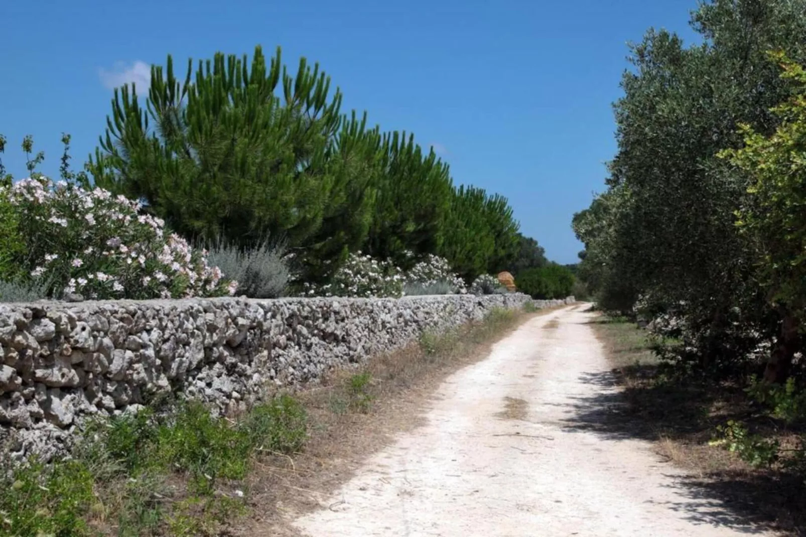 Tenuta San Francesco 3-Gebieden zomer 20km