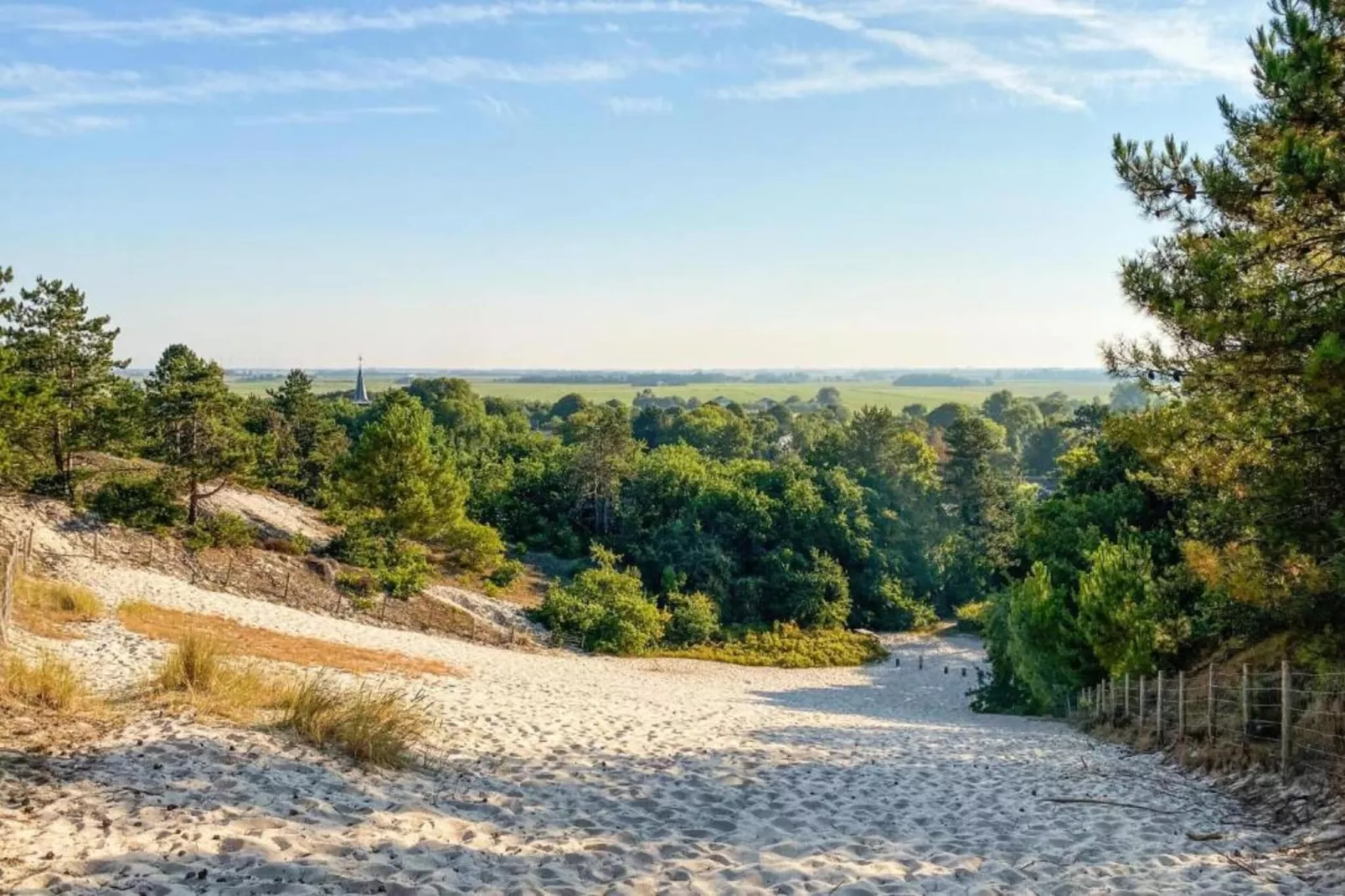 DE PETTEN-Gebieden zomer 20km