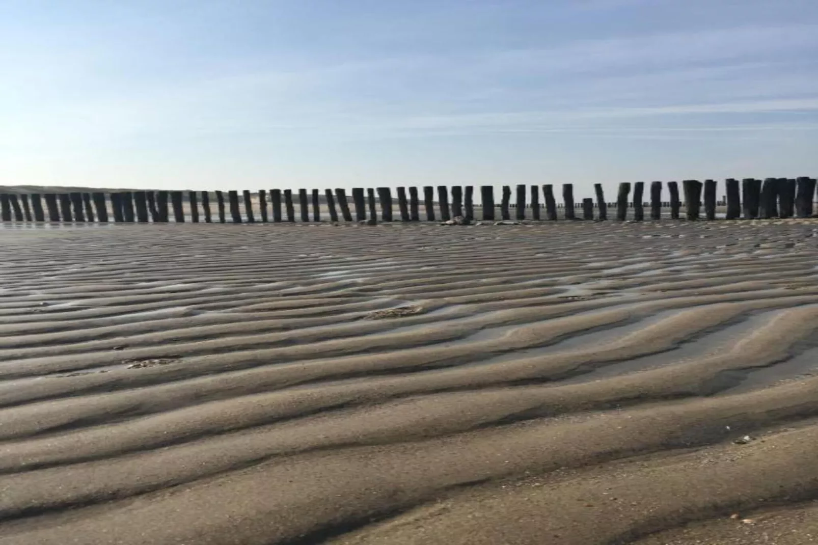 Noordzee Résidence Dishoek 5-Gebieden zomer 5km