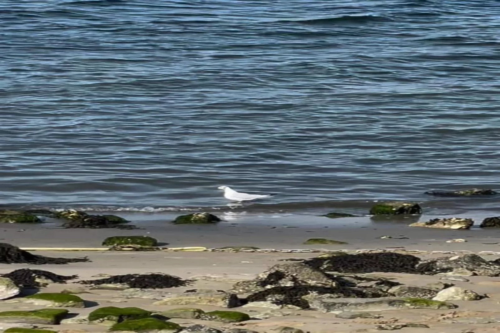 Resort Waterrijk Oesterdam 12-Gebieden zomer 20km