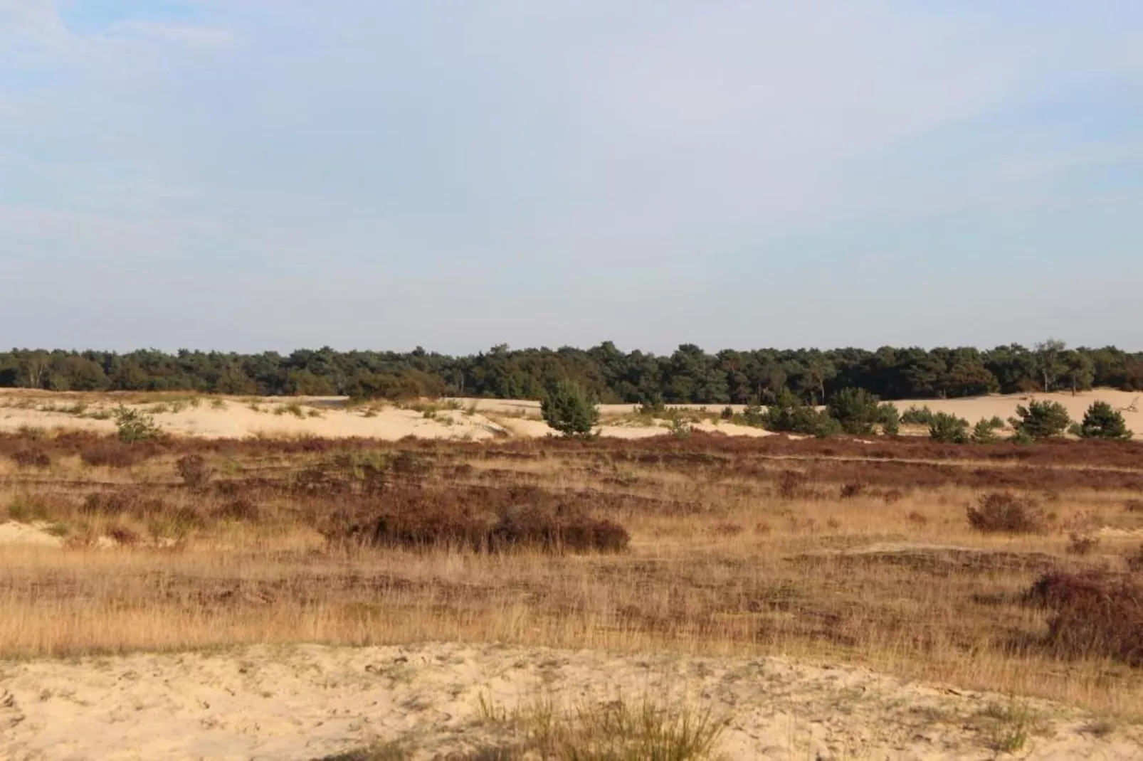 Recreatiepark Duinhoeve 9-Gebieden zomer 20km
