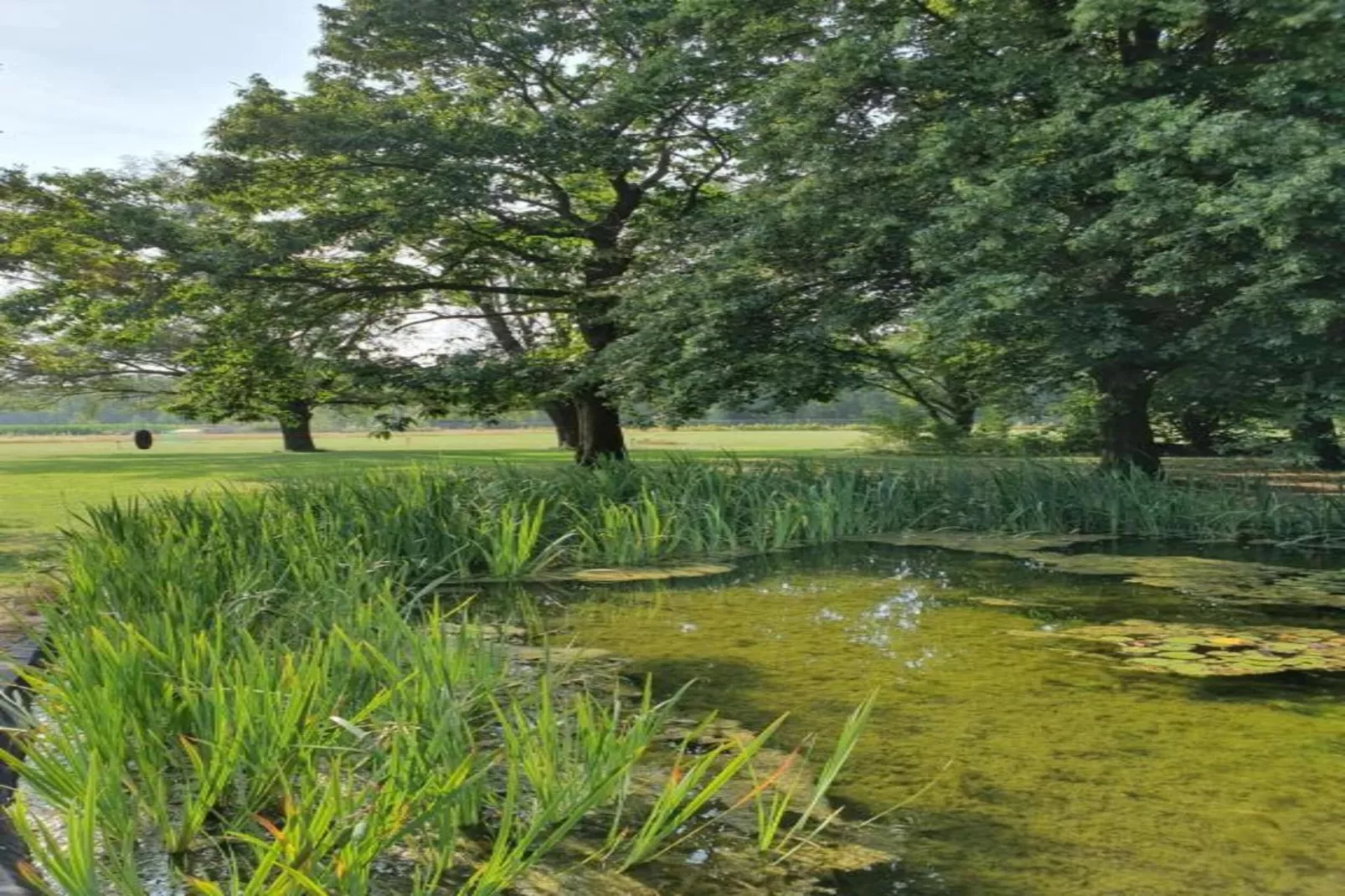 Parc de Kievit 1 - Gebieden zomer 20km