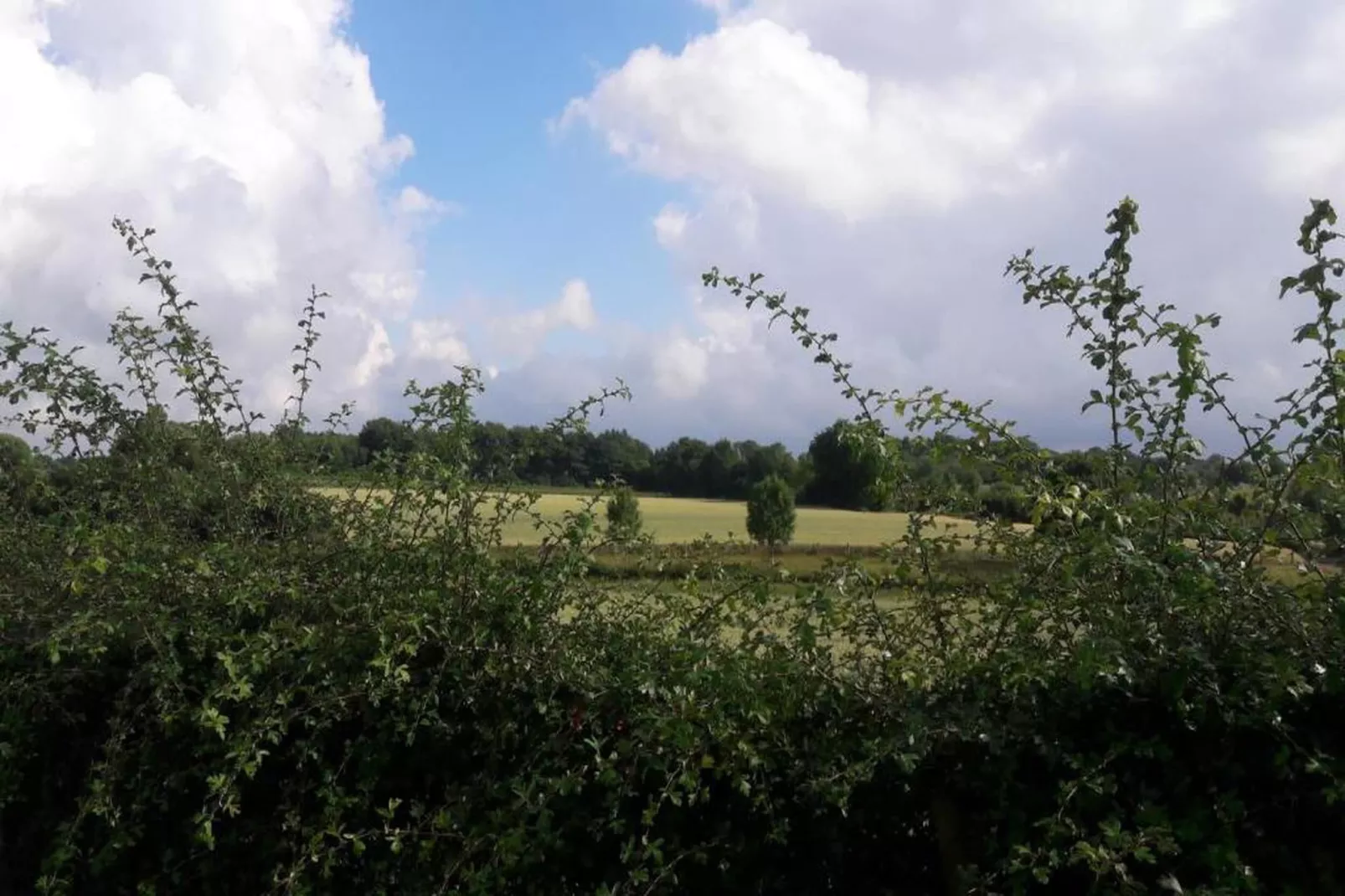 Resort Gulpen 2-Gebieden zomer 20km