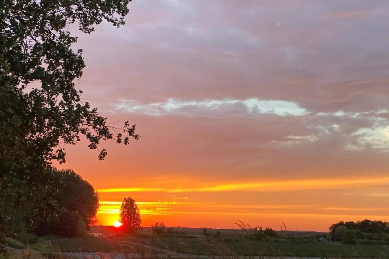 De Meerkoet Huis Nr 37-Gebieden zomer 20km