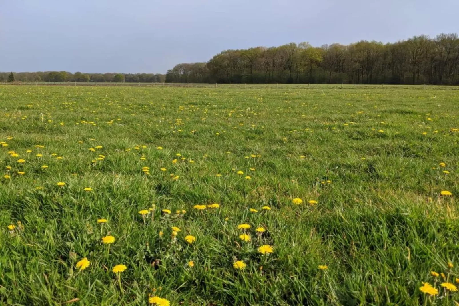 Parc de Kievit 17-Gebieden zomer 20km