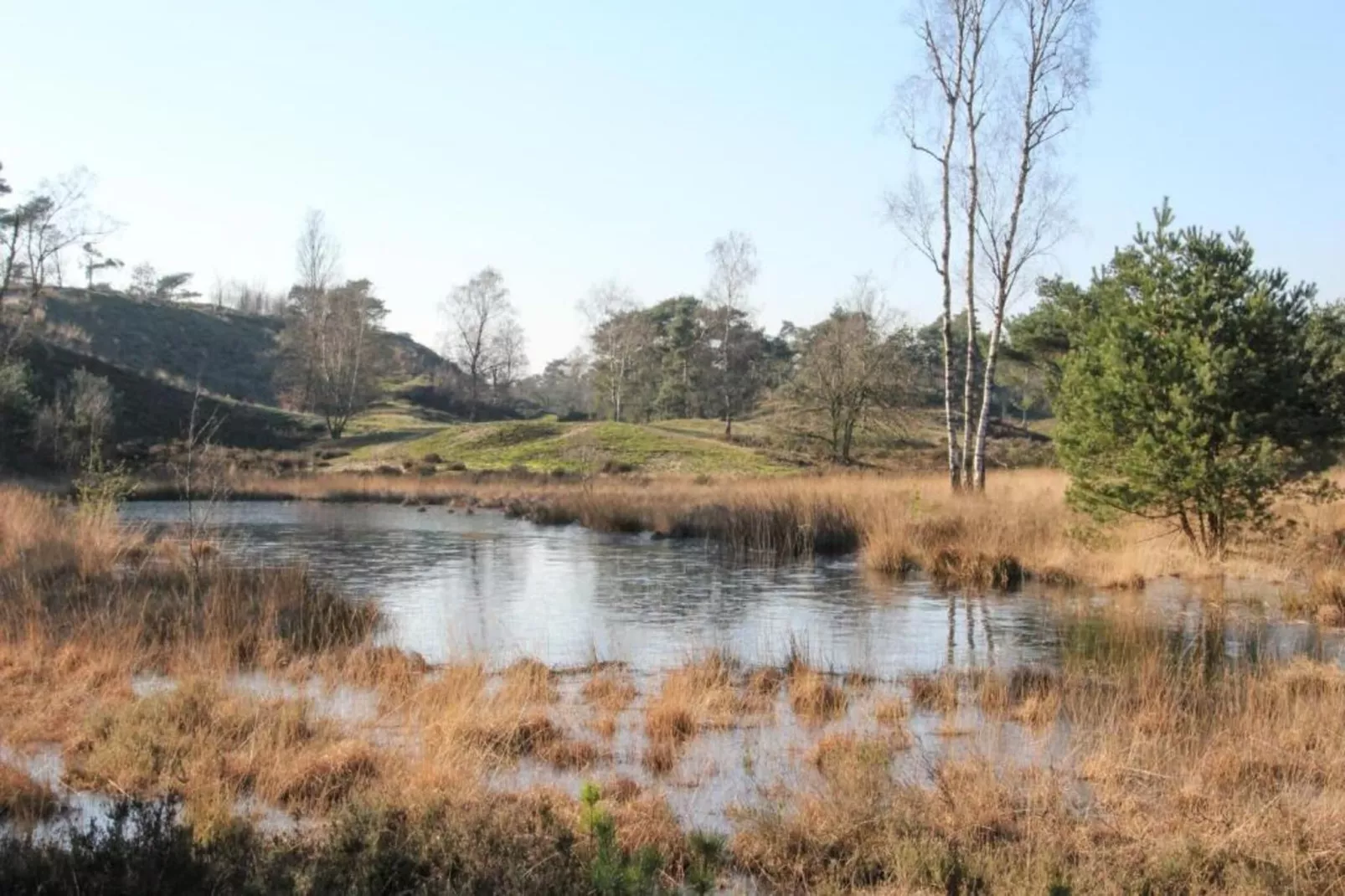 Vakantiepark Leukermeer 7 - Gebieden zomer 20km