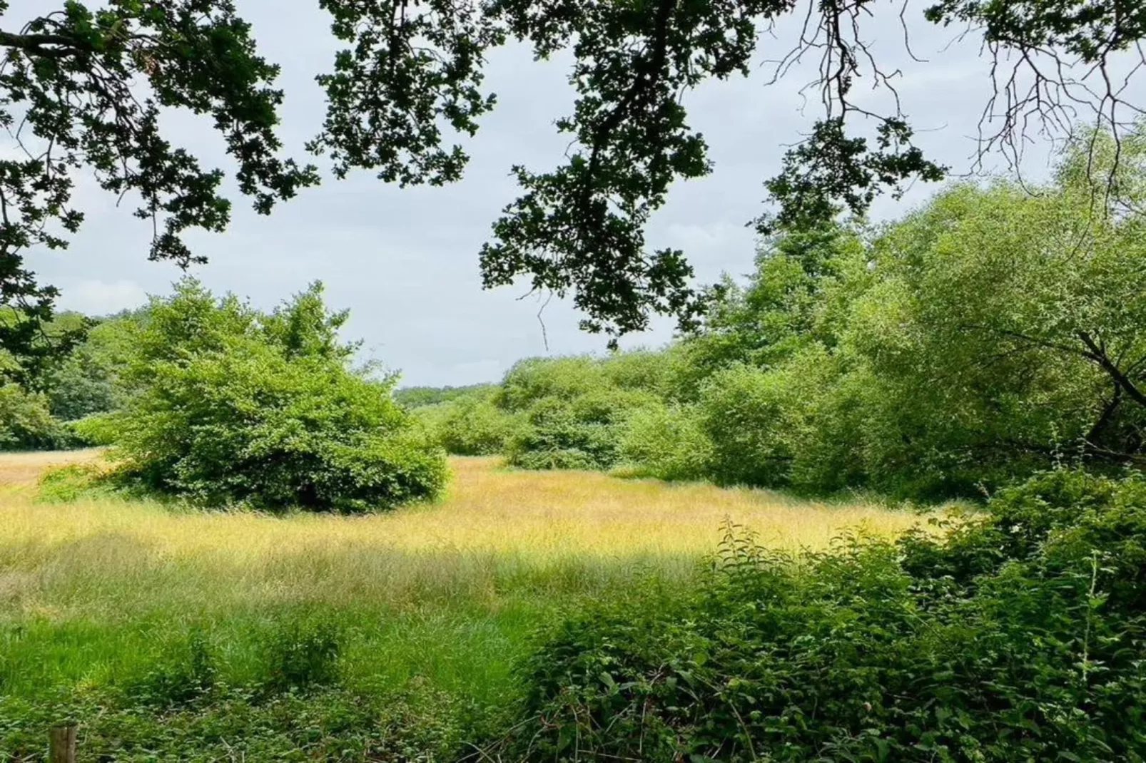 Buitenplaats Gerner 8-Gebieden zomer 20km