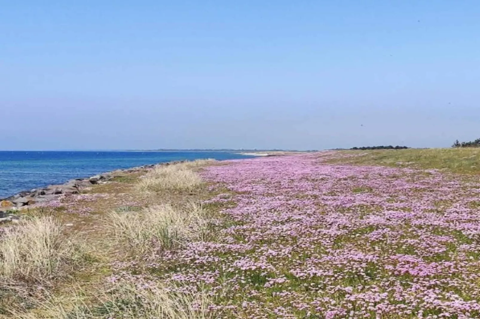 6 persoons vakantie huis in Dannemare-By Traum-Buitenlucht