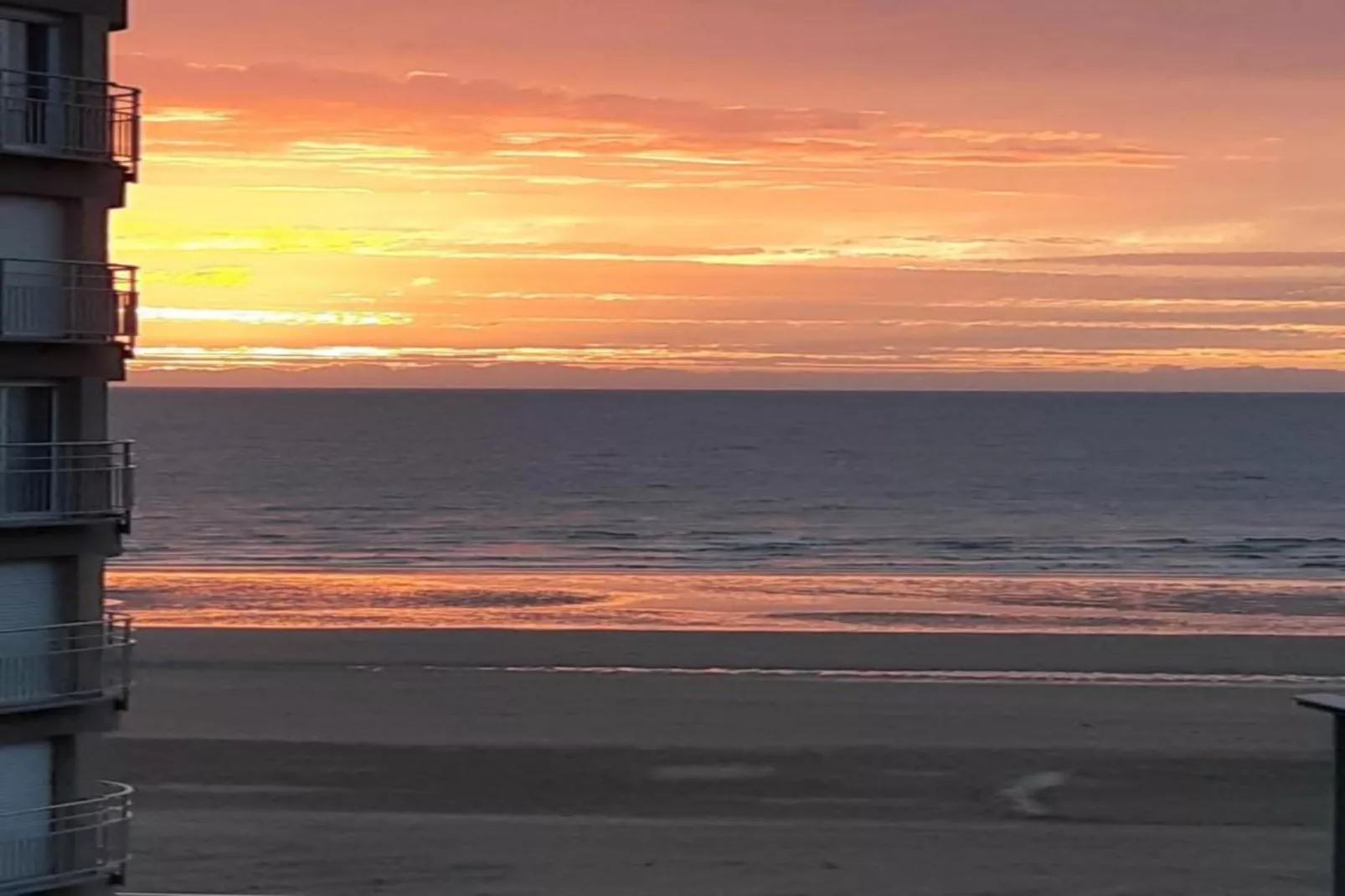 Campanula gv03g-Gebieden zomer 1km