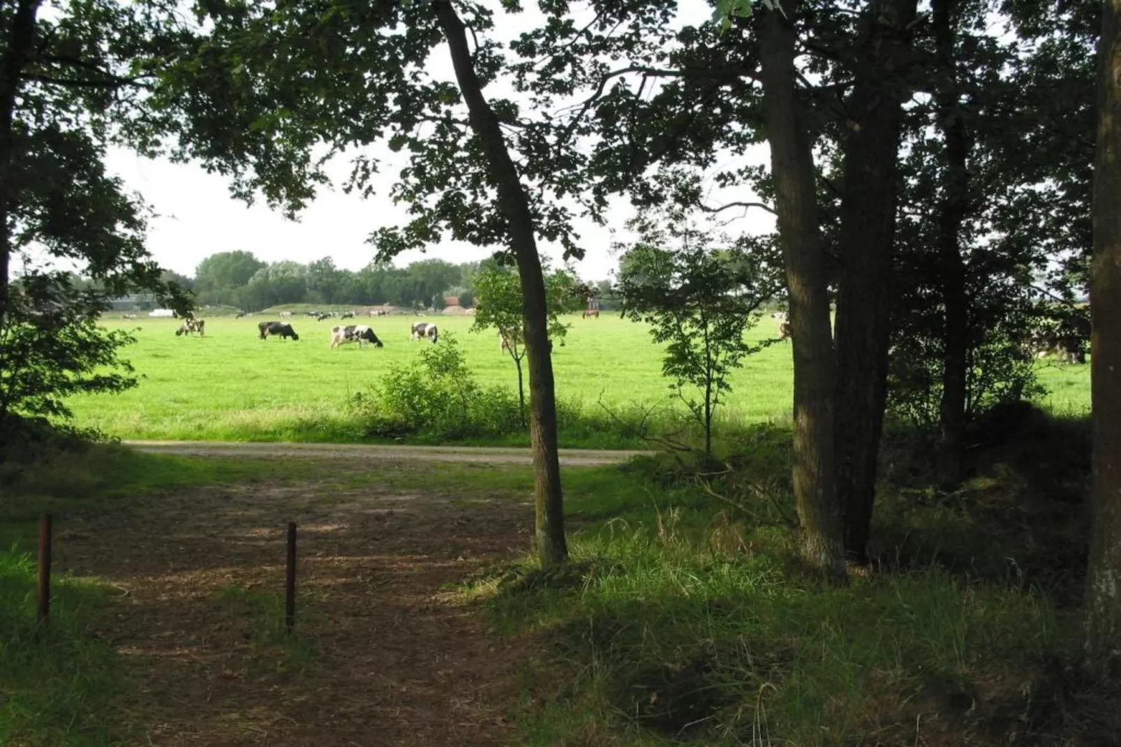 Vakantiepark Schaijk 12-Gebieden zomer 5km