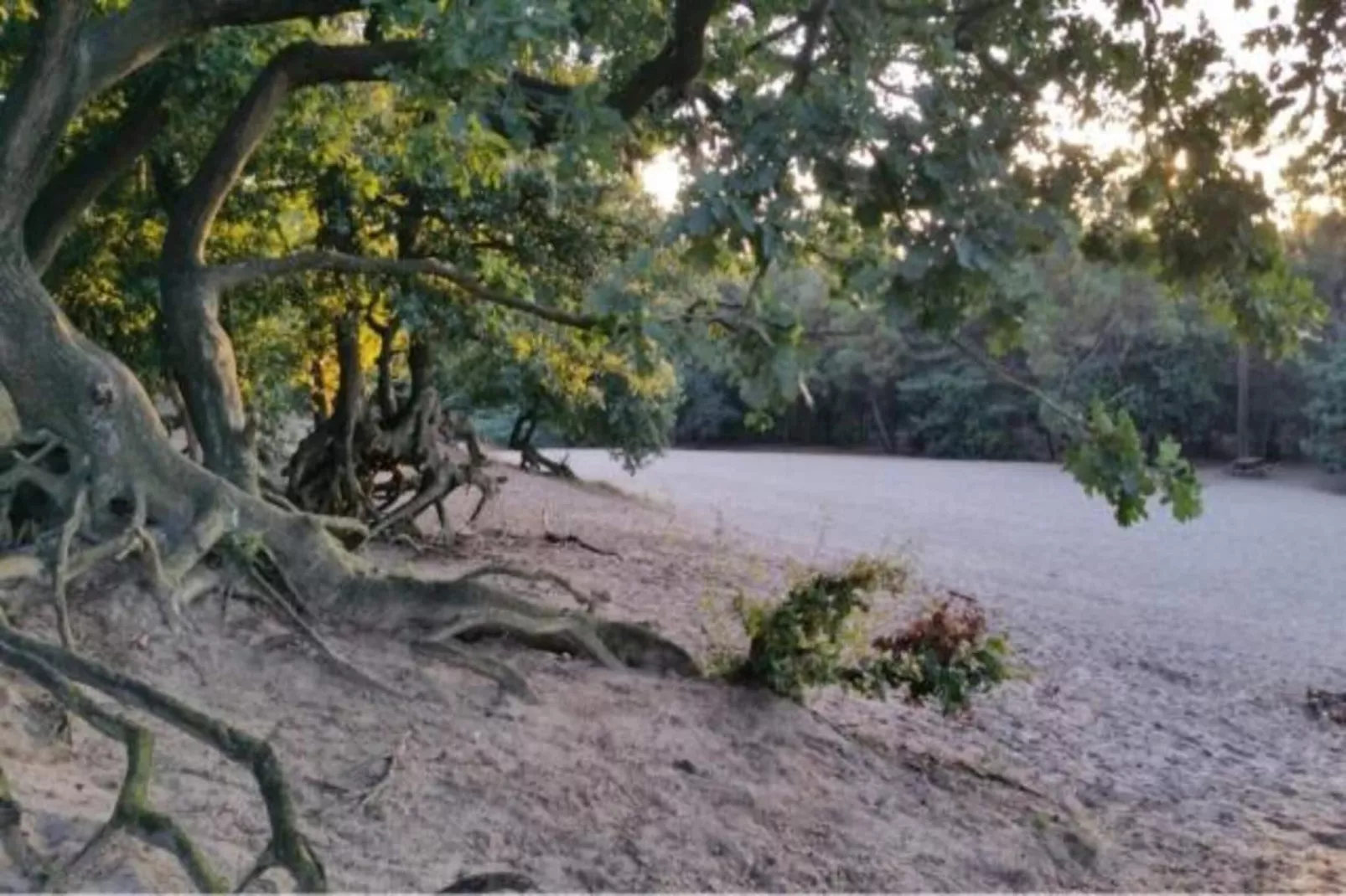 Vakantiepark Sandberghe 13-Gebieden zomer 20km