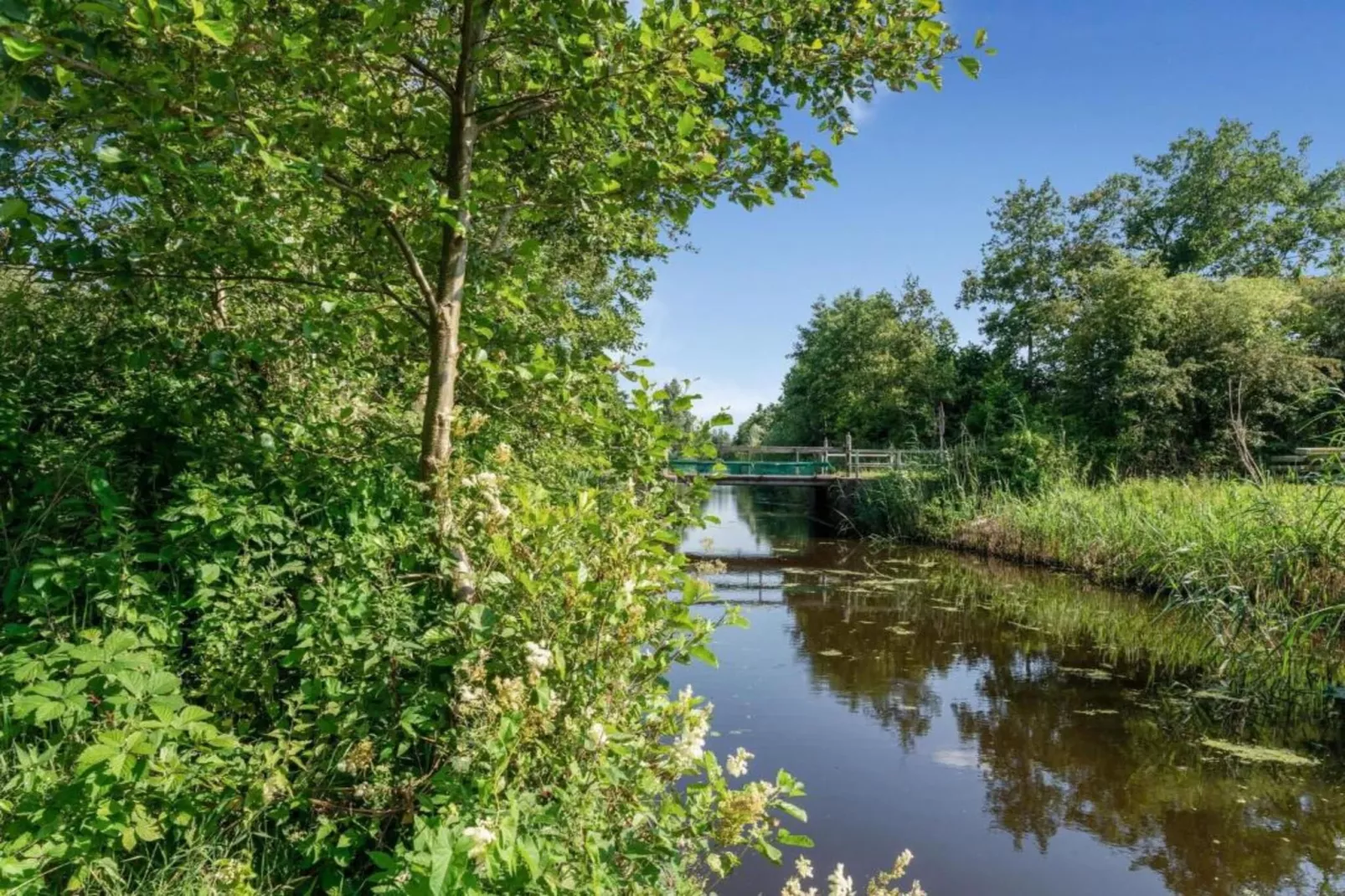 Twee safaritenten "Noflik" & "Gaadlik" naast elkaar-Gebieden zomer 5km