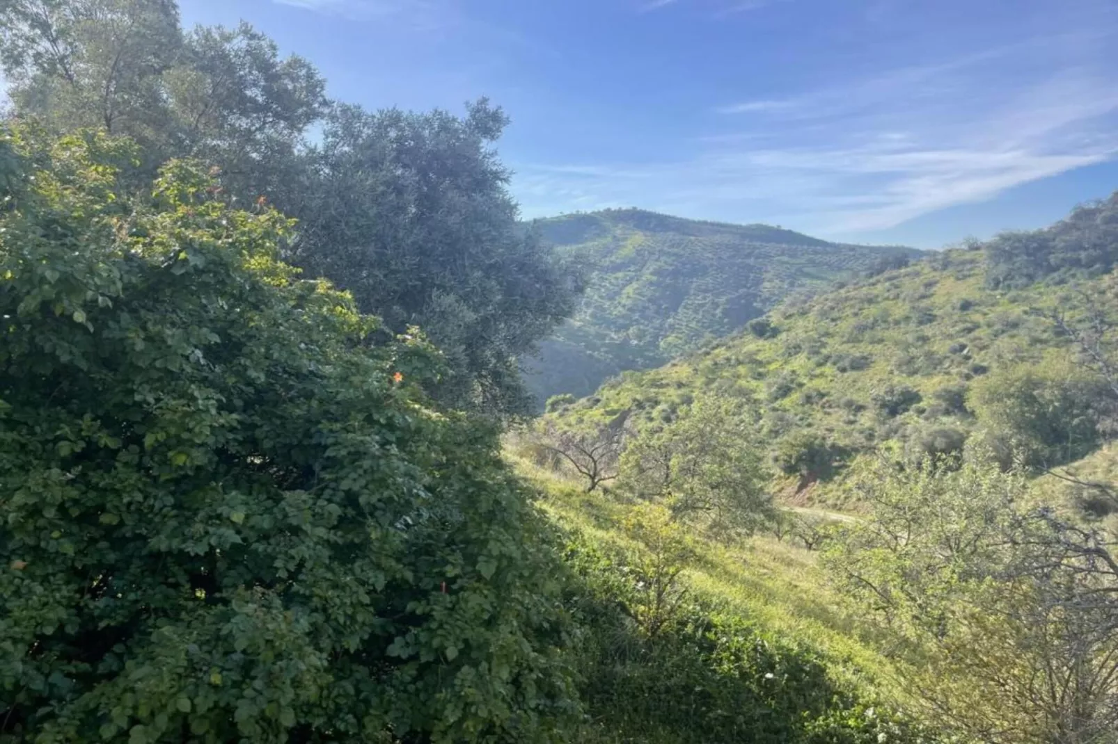 Casa el Cielo-Gebieden zomer 5km
