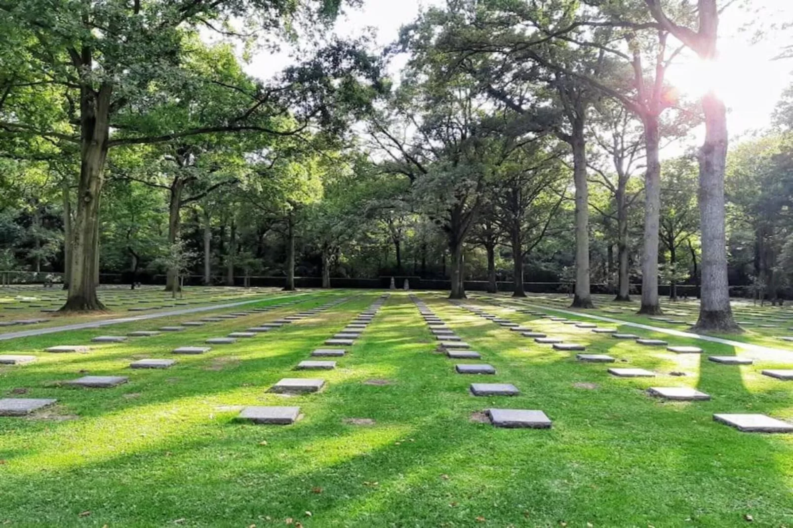 APOLLO X / 0405-Gebieden zomer 20km