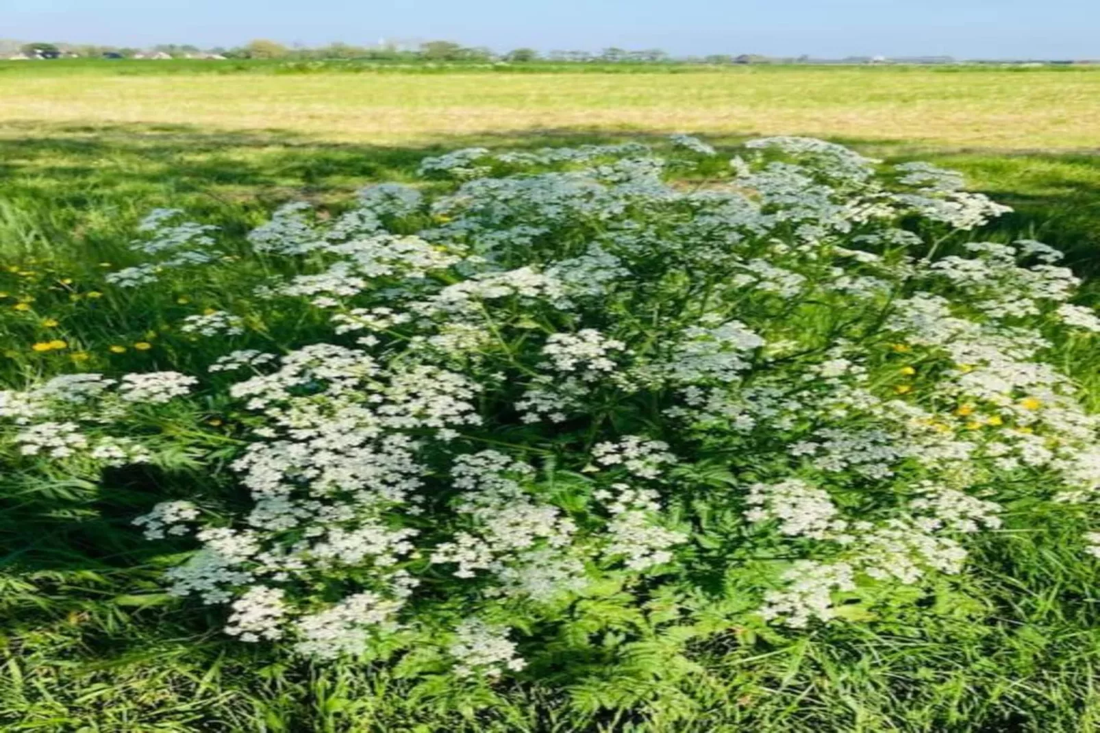 Huisje 'In de Tuin' B-Gebieden zomer 20km