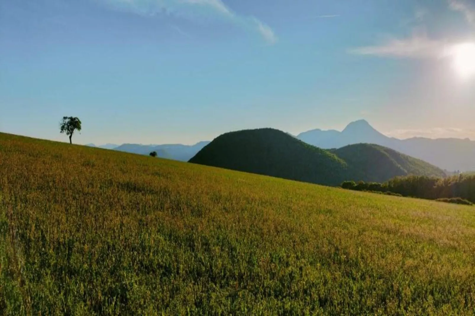 Binnella 10-Gebieden zomer 20km