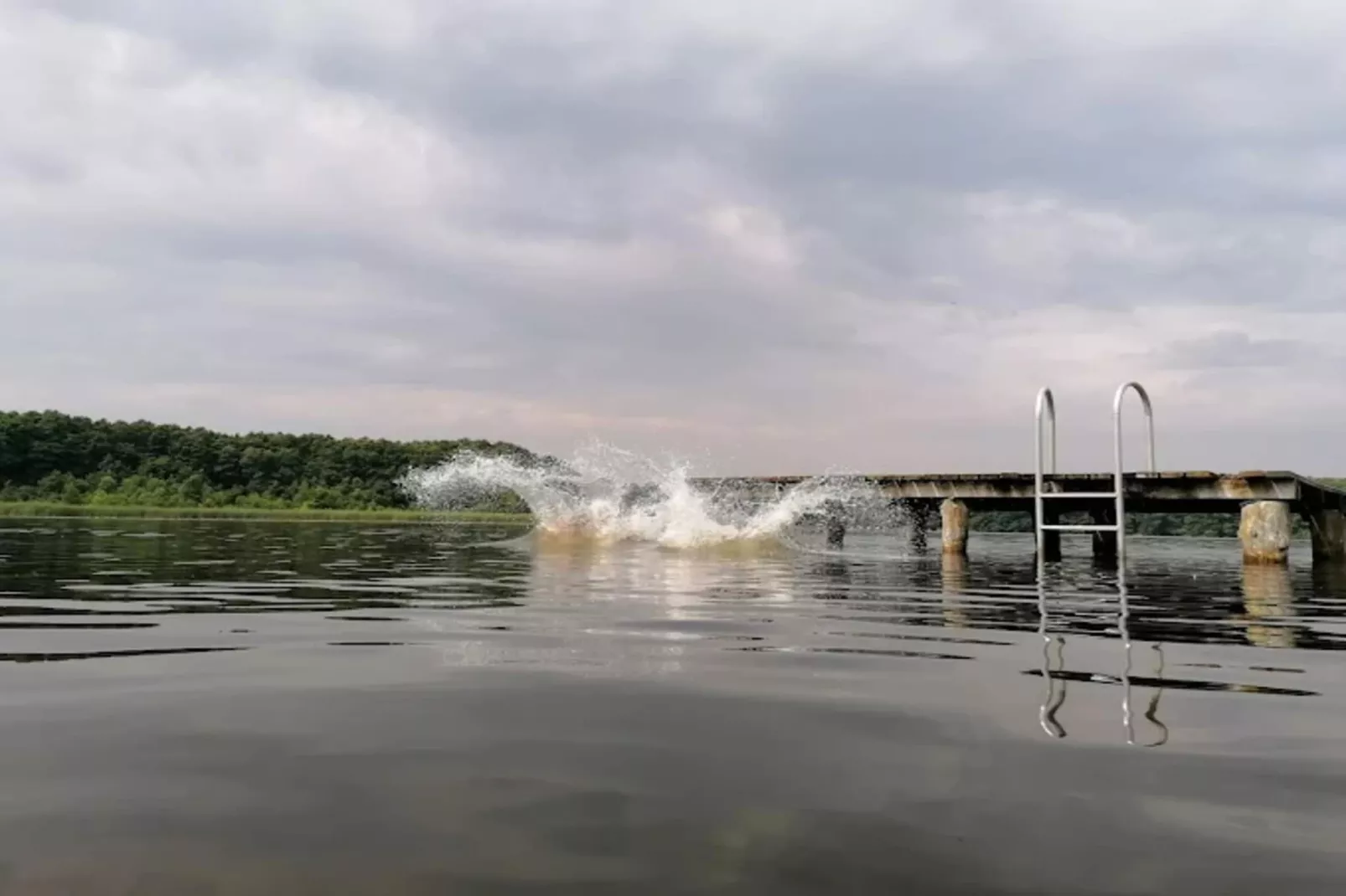 Wildgans Classic 246-Gebieden zomer 1km