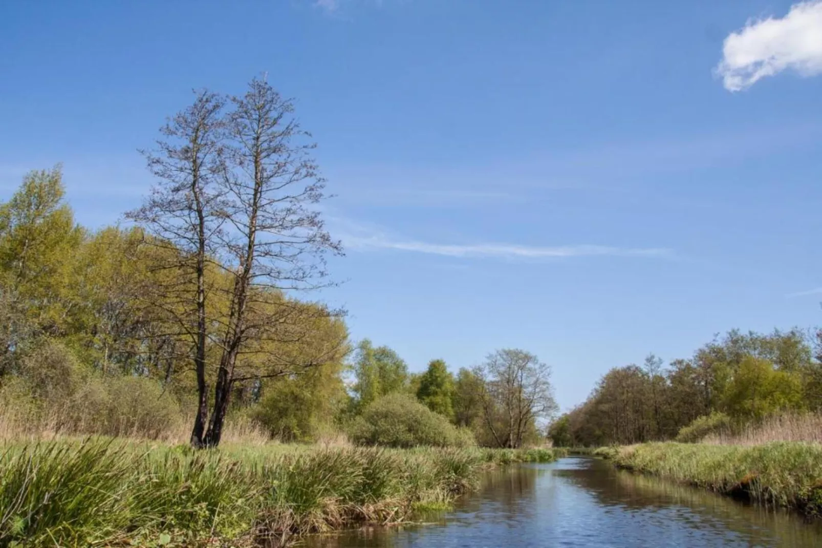 Docklodge 46-Gebieden zomer 20km