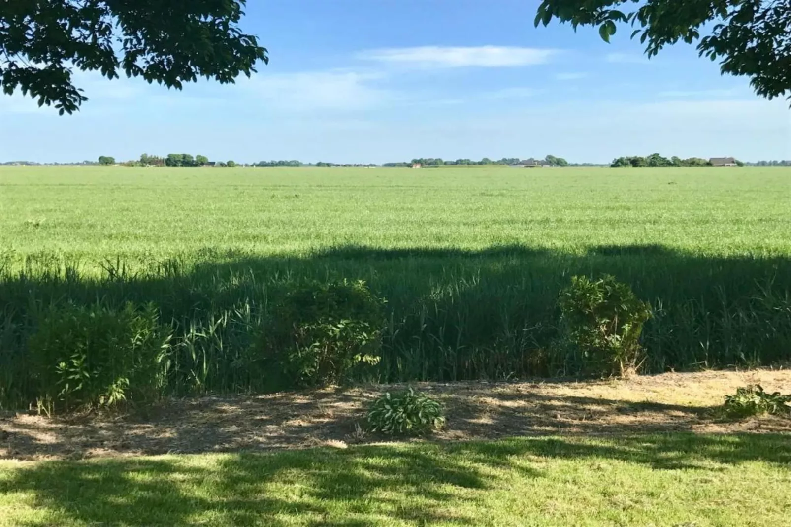 VT 145-Gebieden zomer 20km