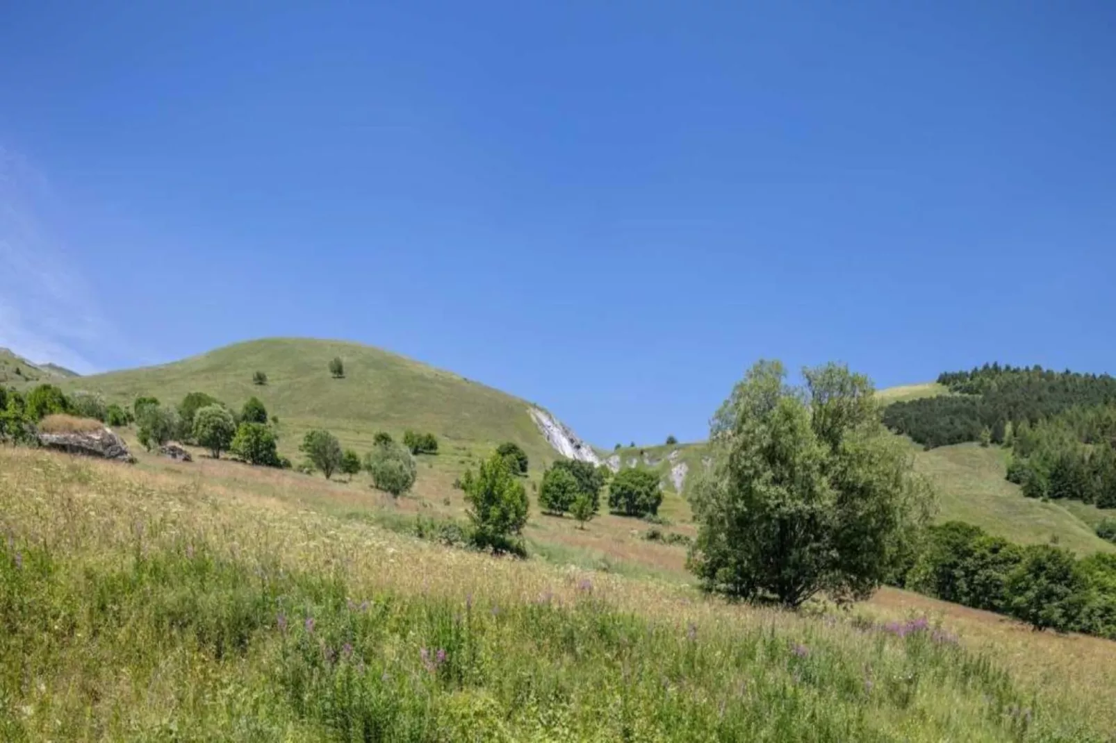 Les Chamois N°15 - 3P6 - Gebieden zomer 20km