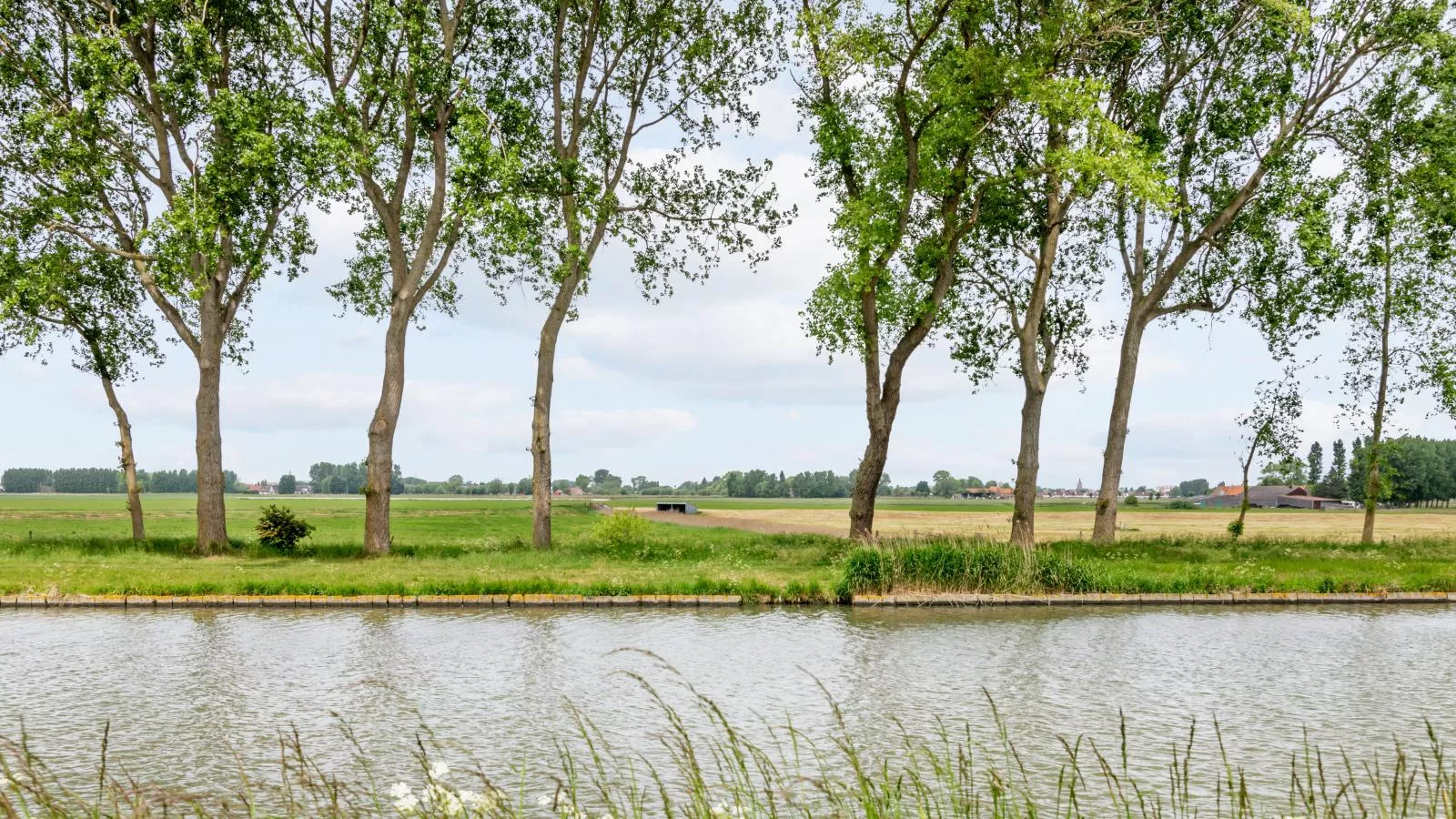 Maxim Jr-Gebieden zomer 1km