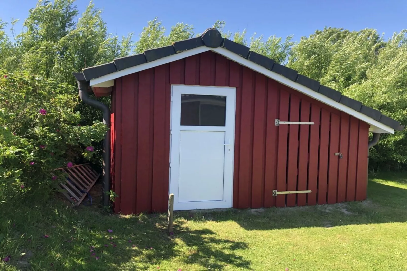 315274-Tuinen zomer
