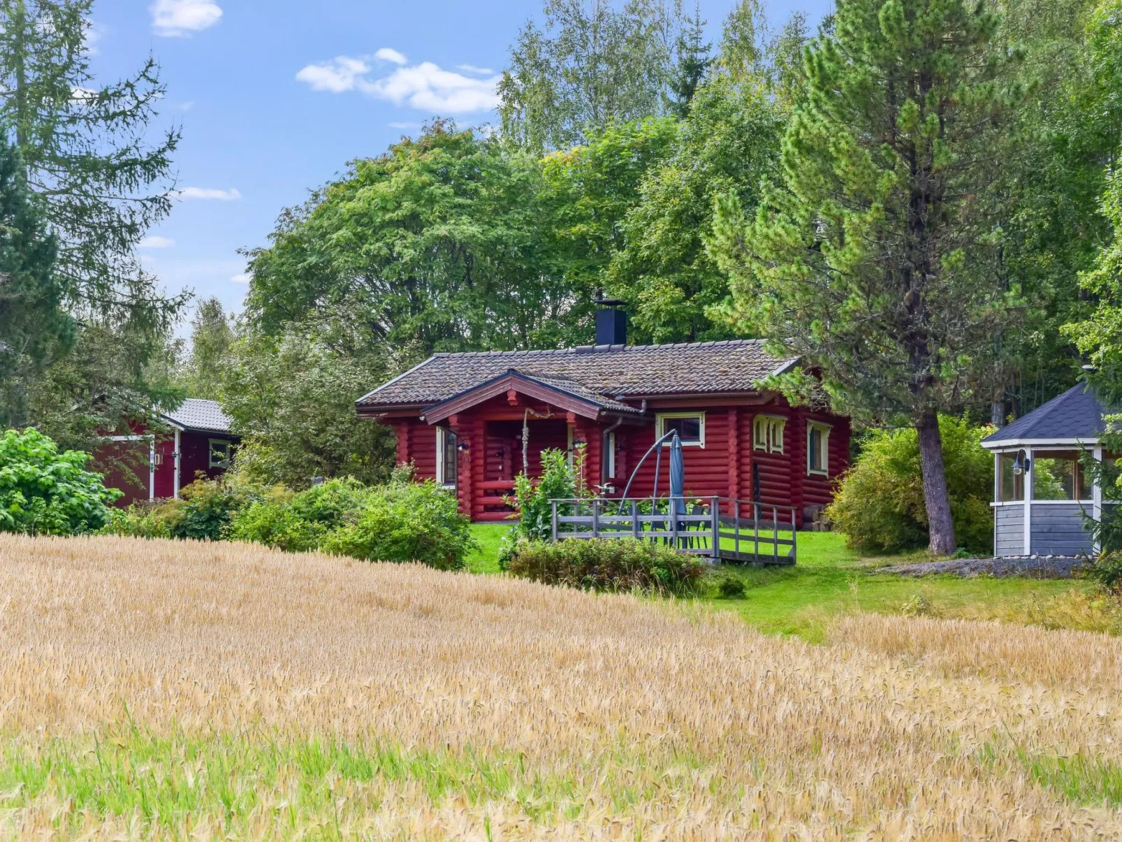 Petäjäniemi-Binnen