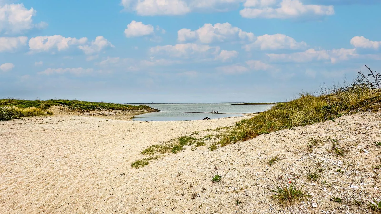 Sauna Zee-Gebieden zomer 1km