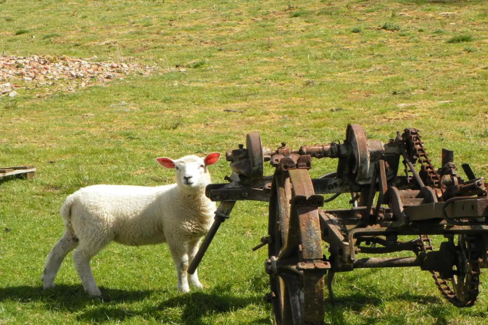 Swaledale Hall Cottage-Gebieden zomer 20km