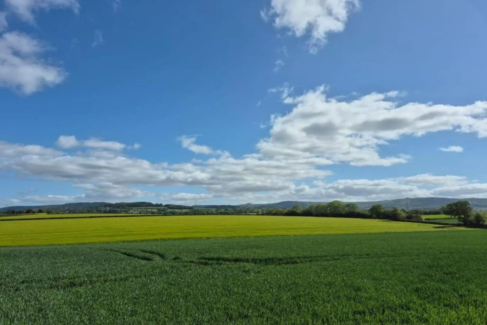 Ryedale Hall Cottage-Gebieden zomer 5km