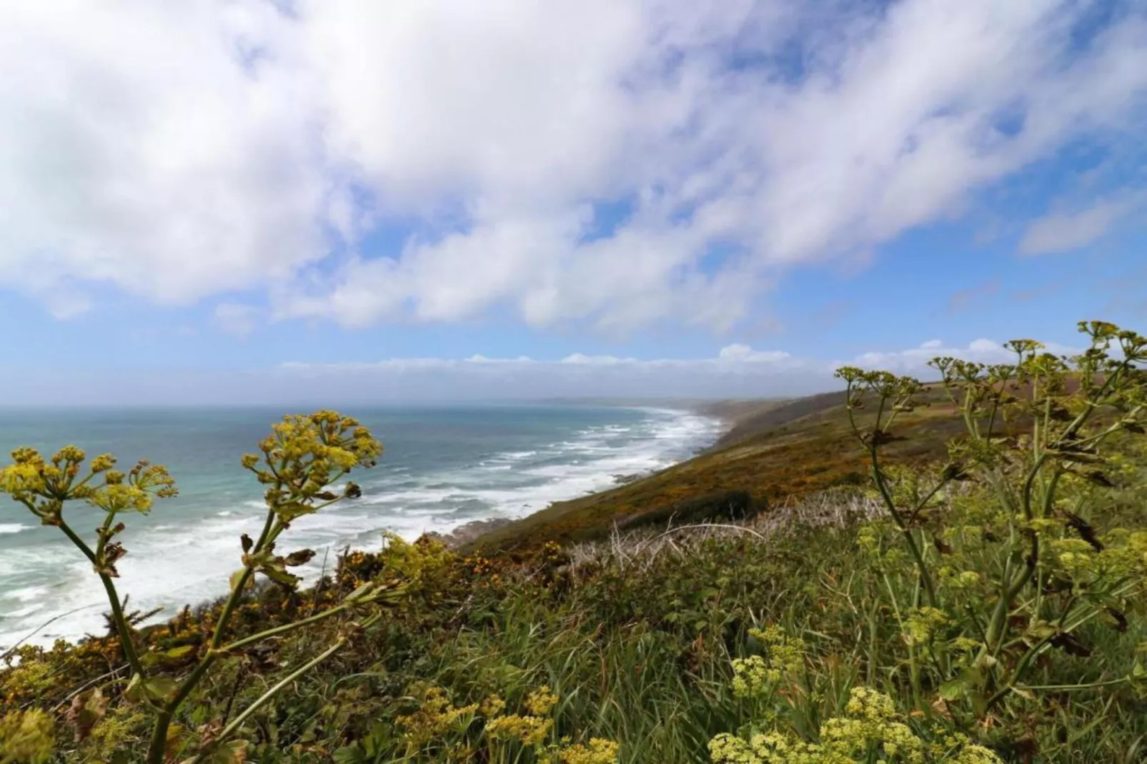 Rose Cottage, Kingsand-Gebieden zomer 1km